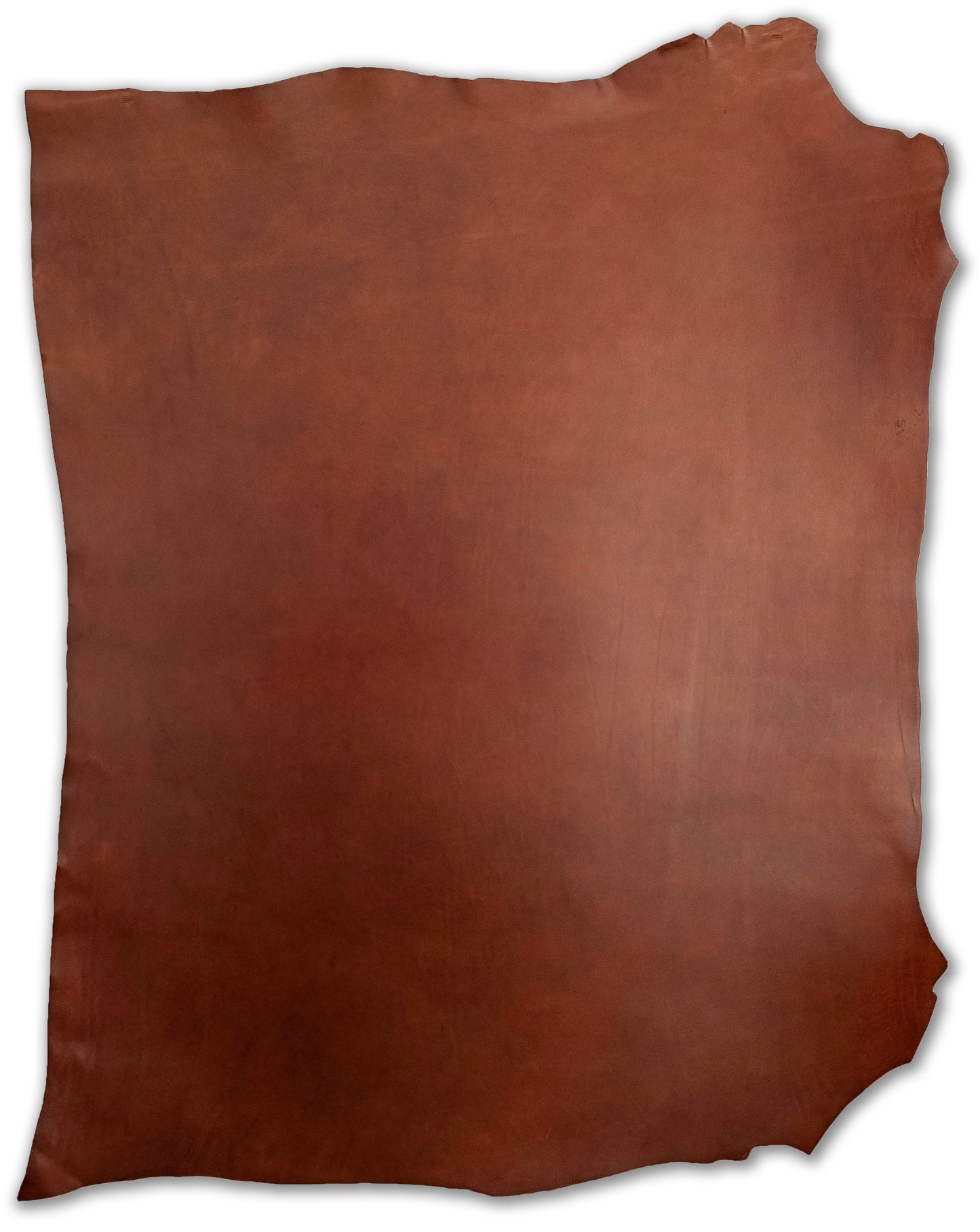 Chestnut Sergio Liscio