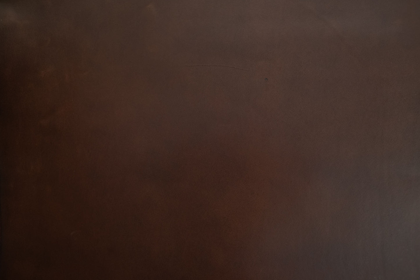 Dark Brown Sergio Liscio