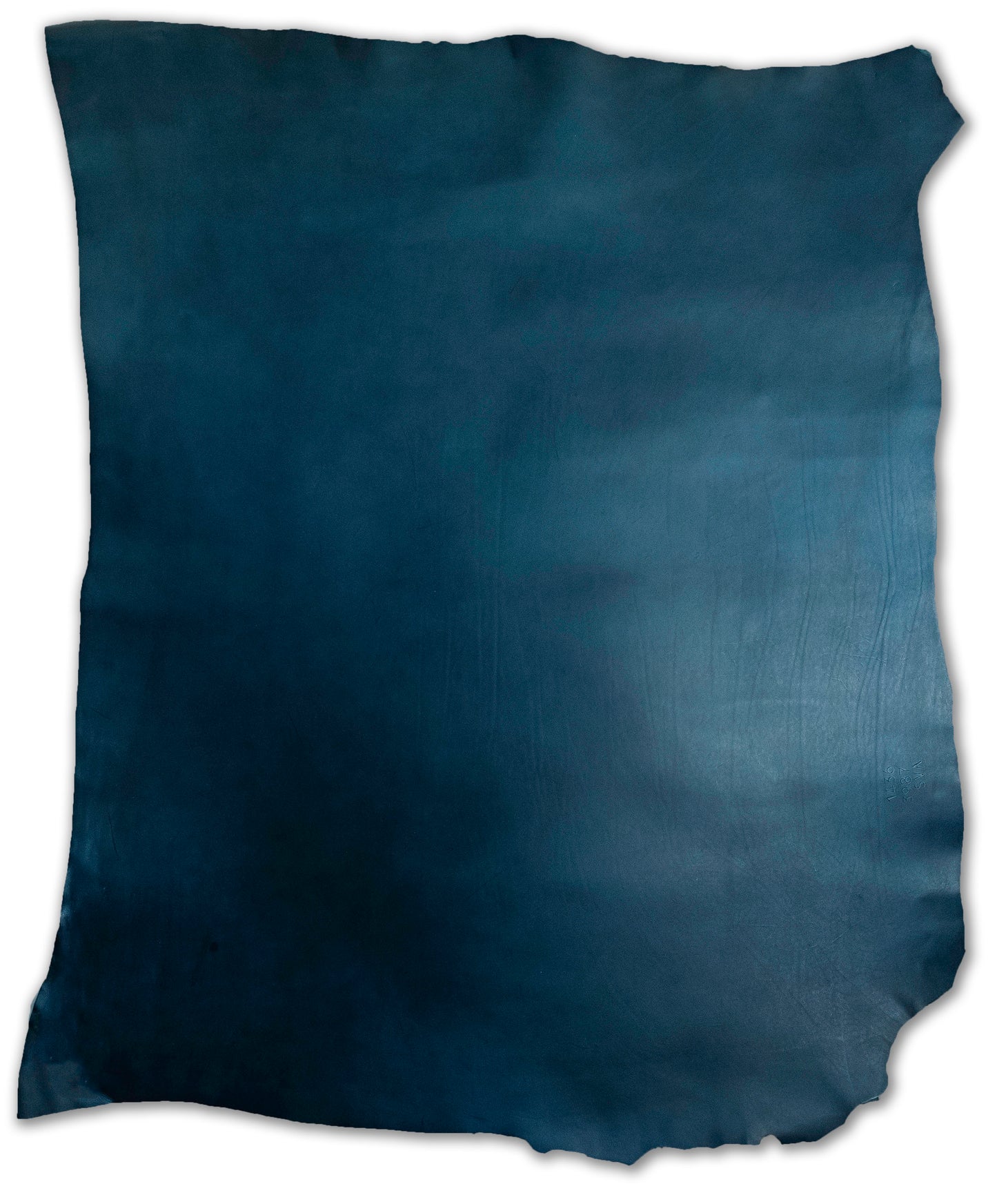 Blue Sergio Liscio
