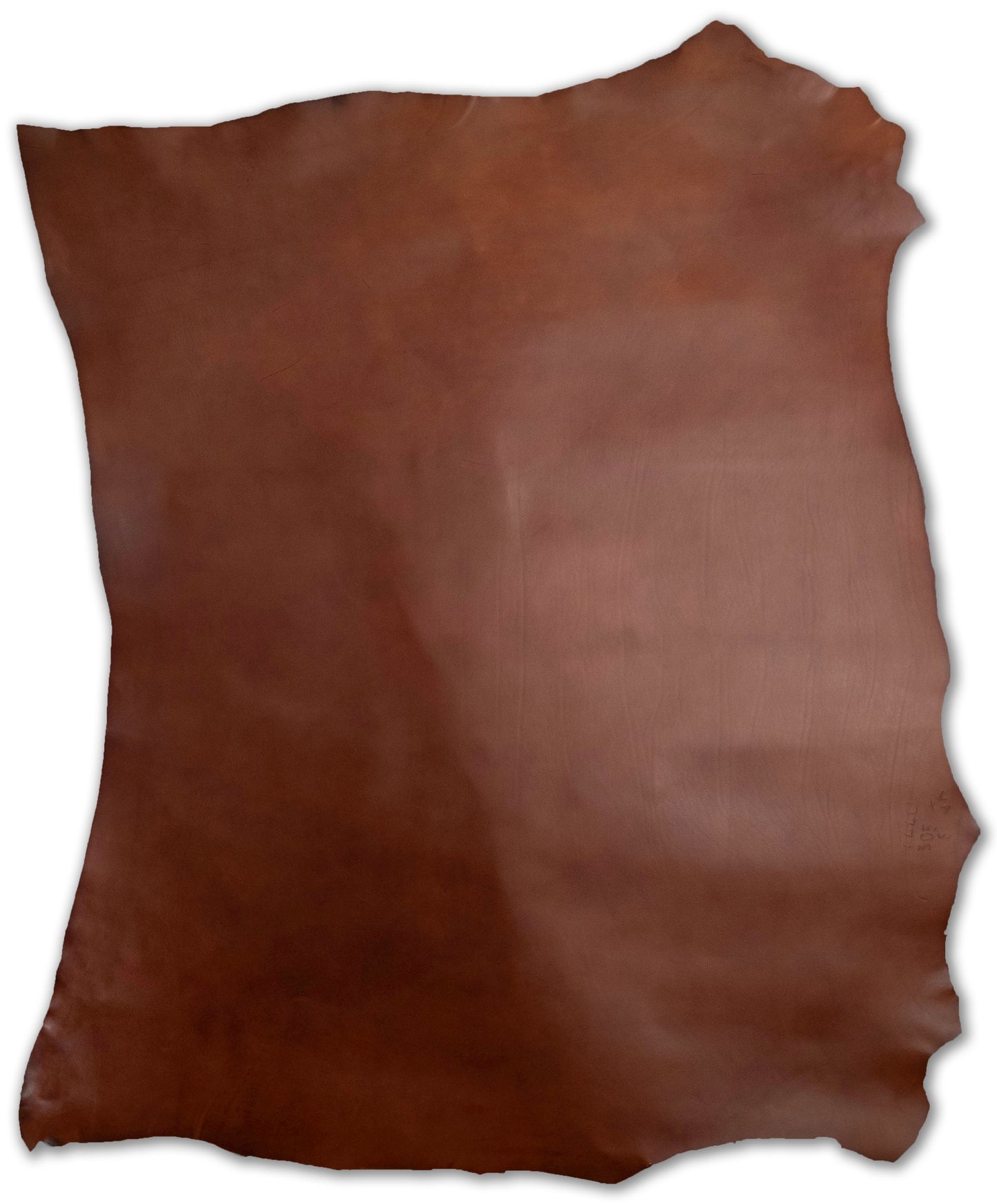 Brown Sergio Liscio