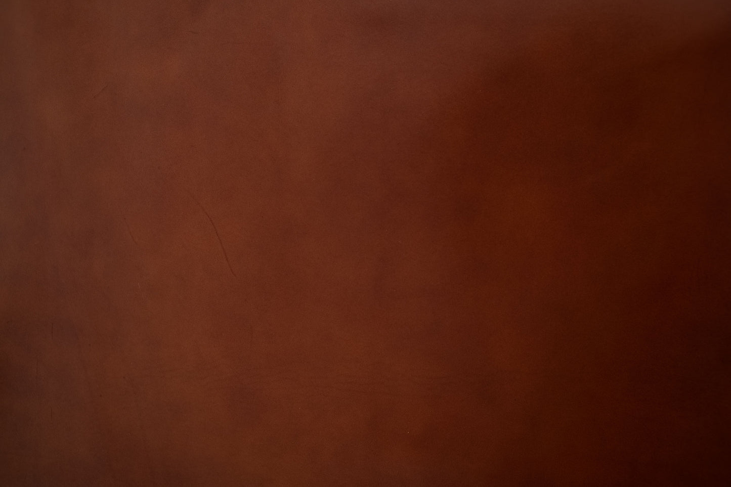 Brown Sergio Liscio