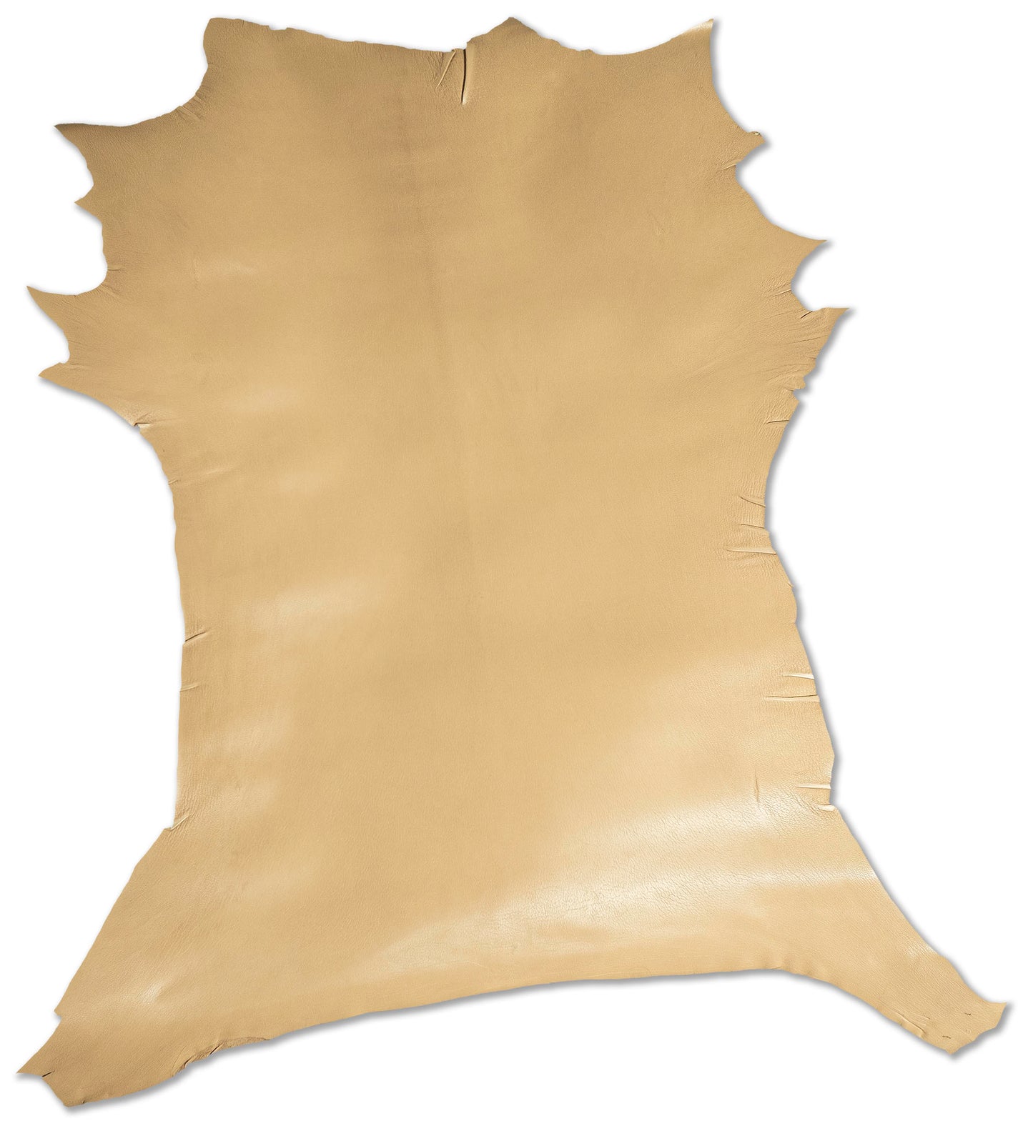 Antiba Goatskin, Camel