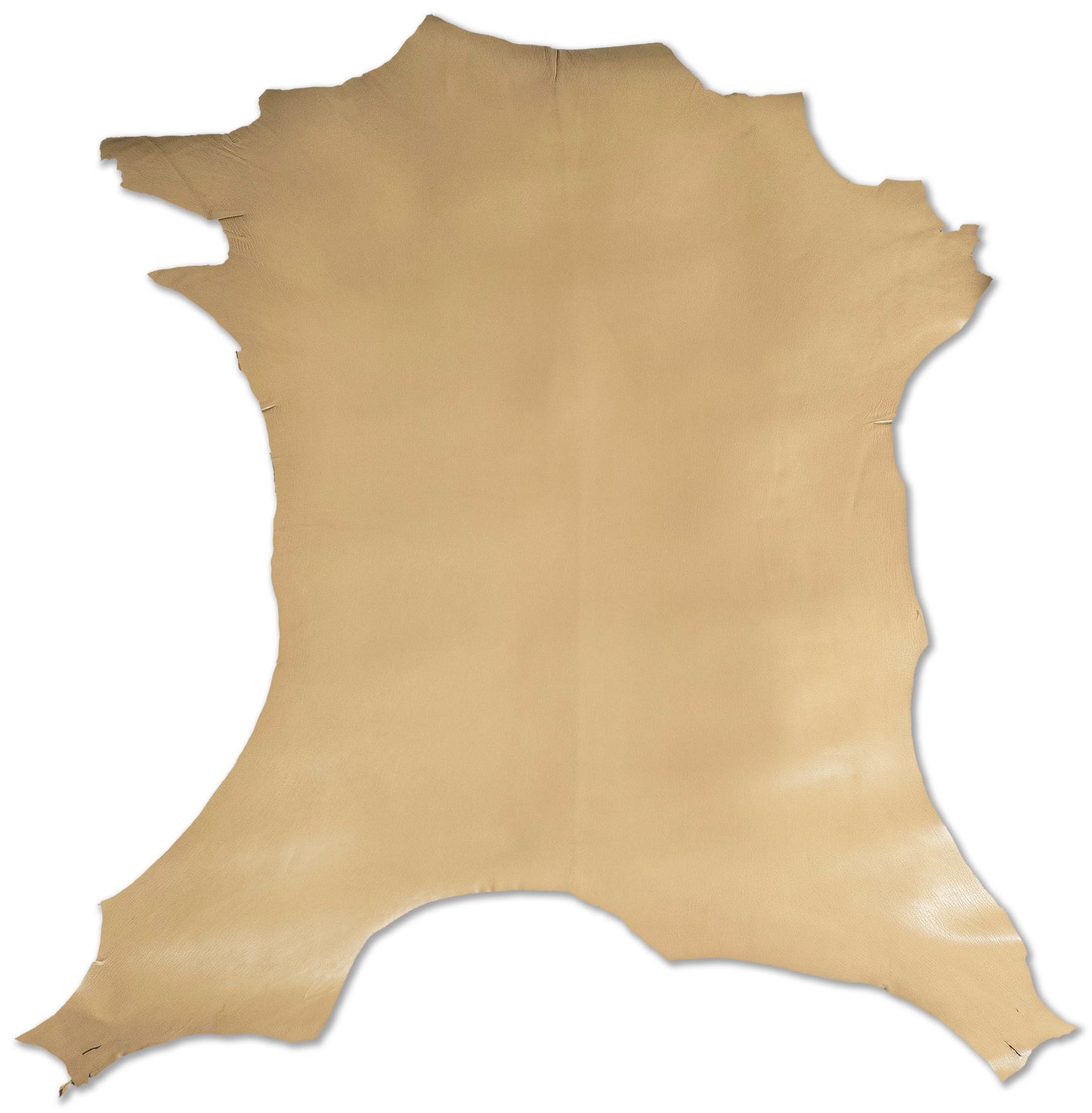 Antiba Goatskin, Camel