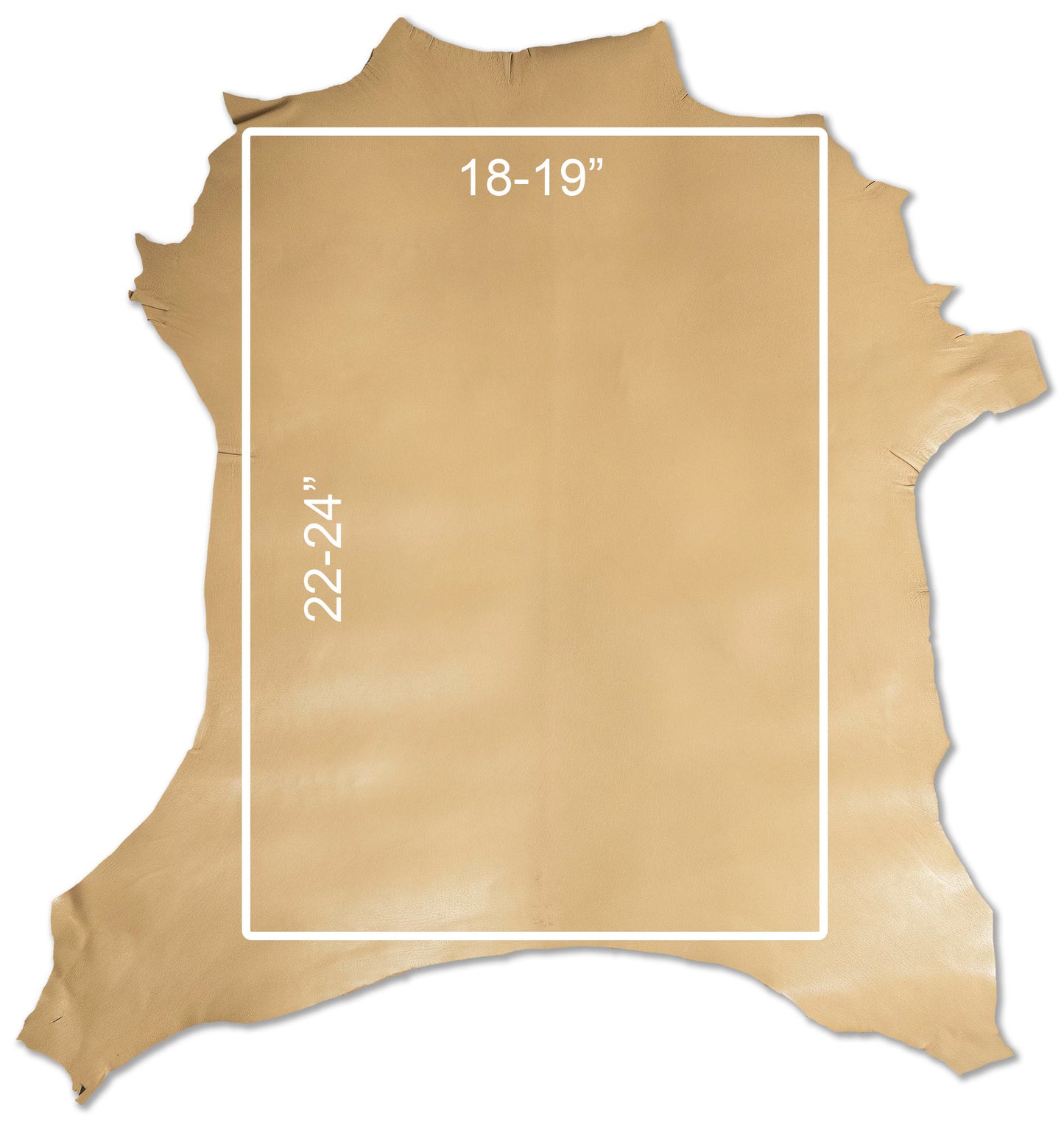 Antiba Goatskin, Camel