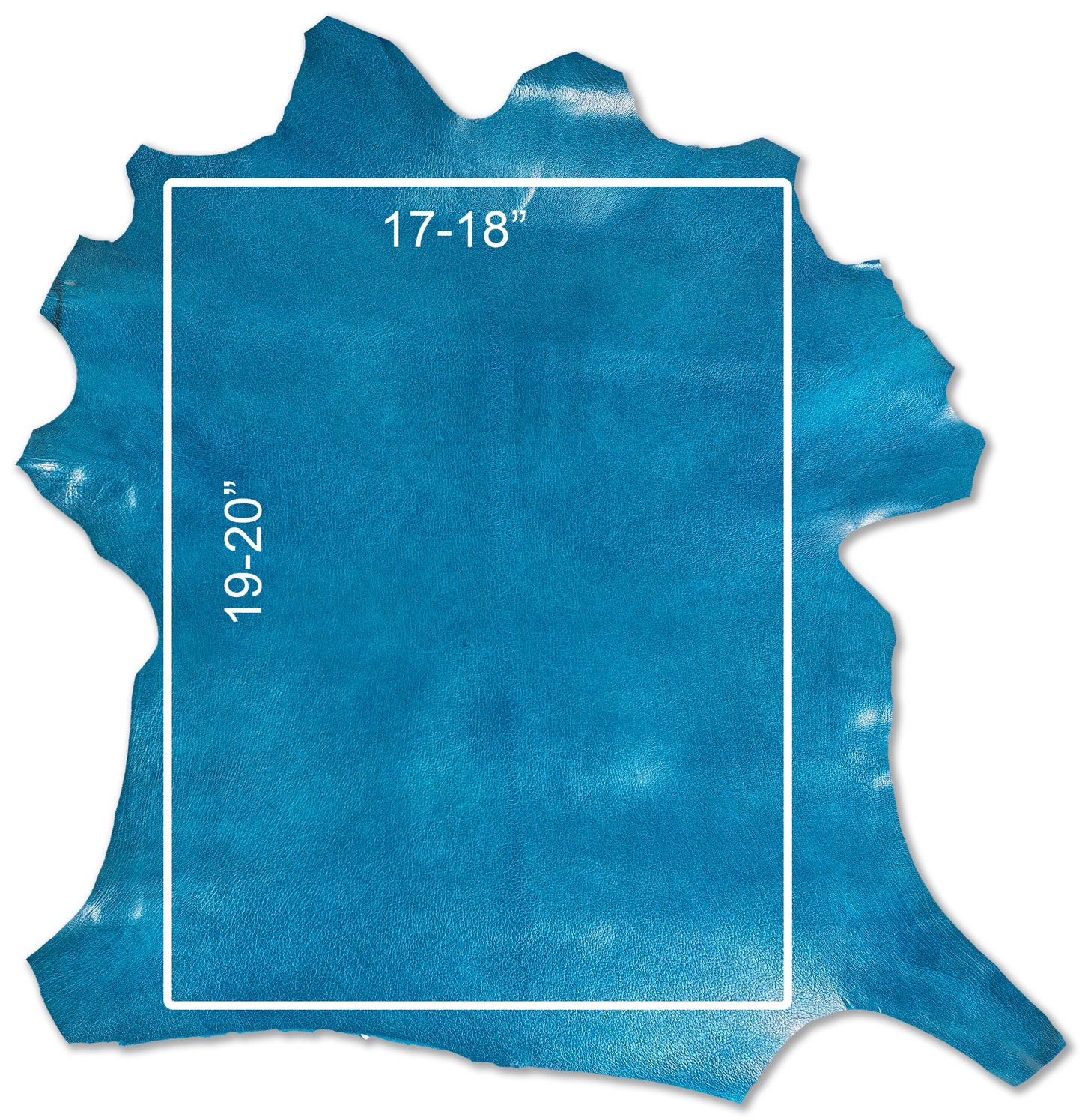 Antiba Goatskin, Teal