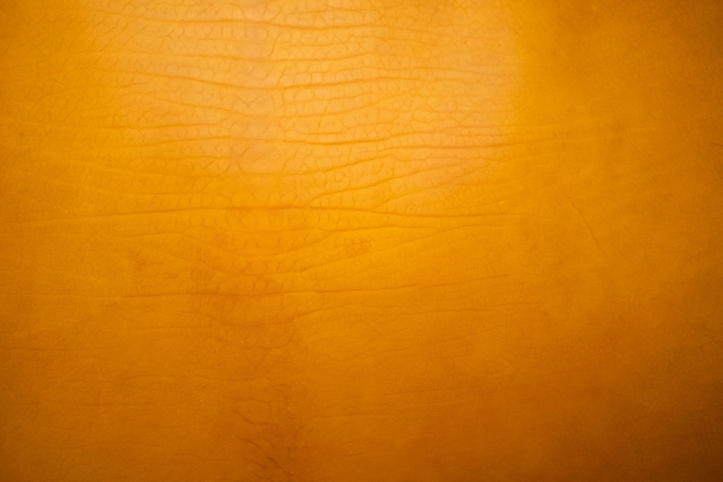 Yellow Sergio Liscio