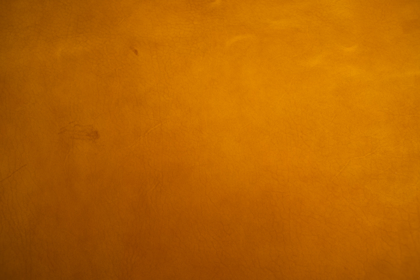 Yellow Sergio Liscio